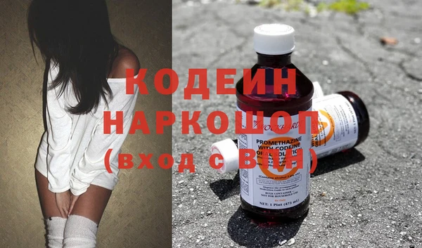 индика Абаза