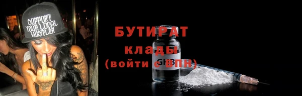 индика Абаза