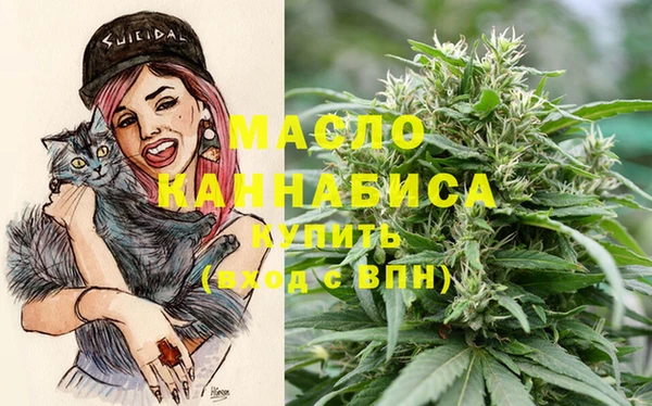 индика Абаза