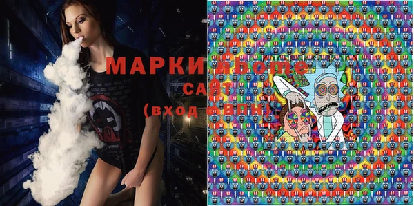 индика Абаза