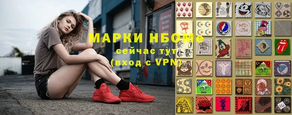 индика Абаза
