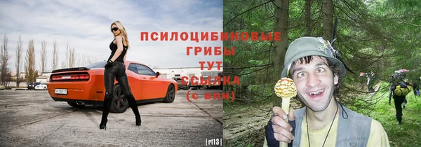 индика Абаза