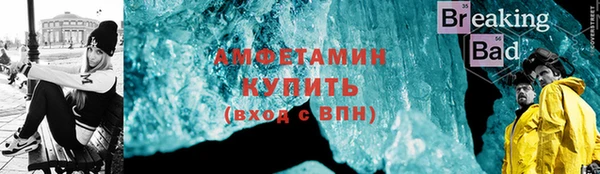 индика Абаза