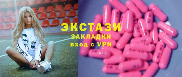 индика Абаза