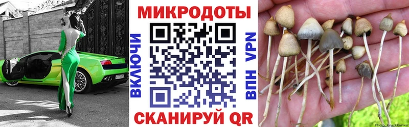 Галлюциногенные грибы прущие грибы  Емва 